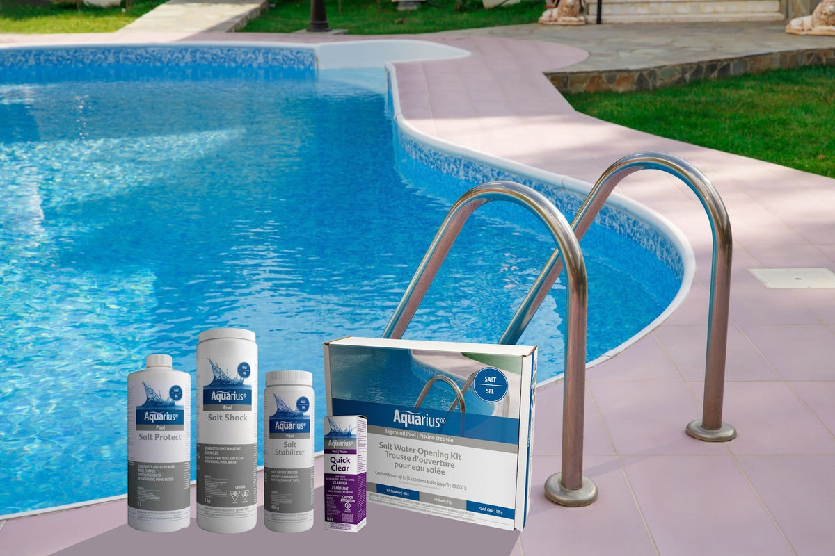 Aquarius Saltwater Pool Opening Kit
