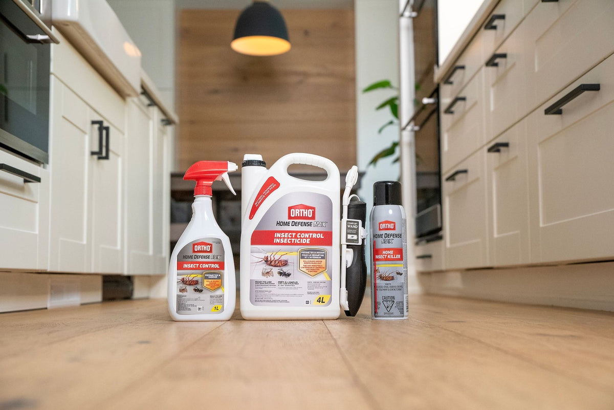 Ortho Home Defense MAX Perimeter & Indoor Liquid Ready-to-Use Insect Control, Insecticide, 4-L