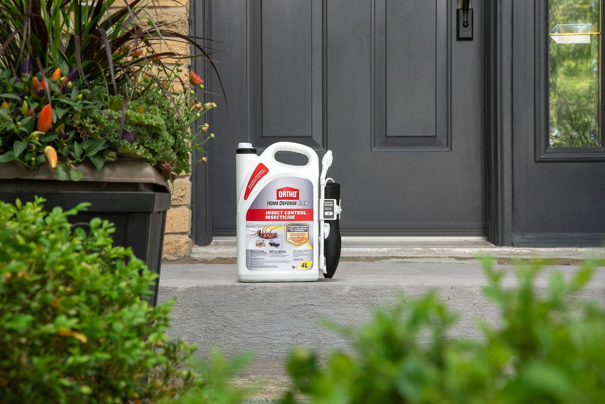 Ortho Home Defense MAX Perimeter & Indoor Liquid Ready-to-Use Insect Control, Insecticide, 4-L