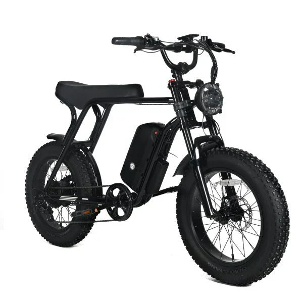 Electric Mountain Bike for Adults | 20 x 4.0 Fat Tires, 1000W Motor, 48V 20Ah Removable Battery, Max Speed 45MPH, Shi Mano 7-Speed for Off-Road Adventures K1
