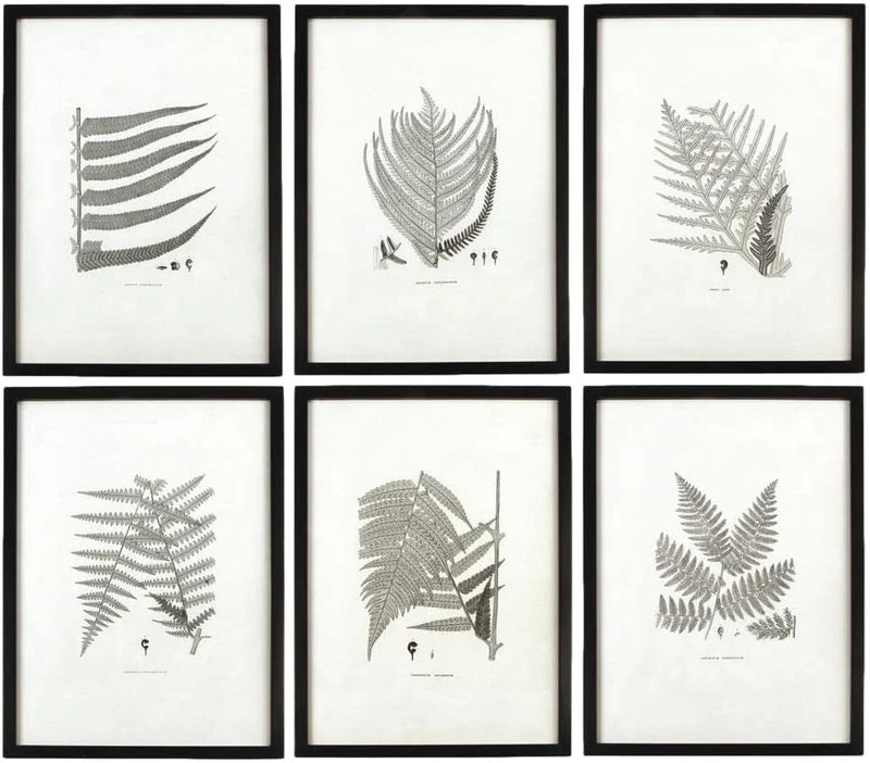 MY SWANKY HOME Modern Set of 6 Black White Fern Prints Botanical Framed Monochrome 29 in M2