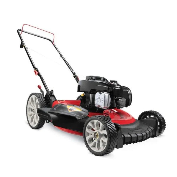 Walk Behind Push Mower with Briggs and Straton Engine F6