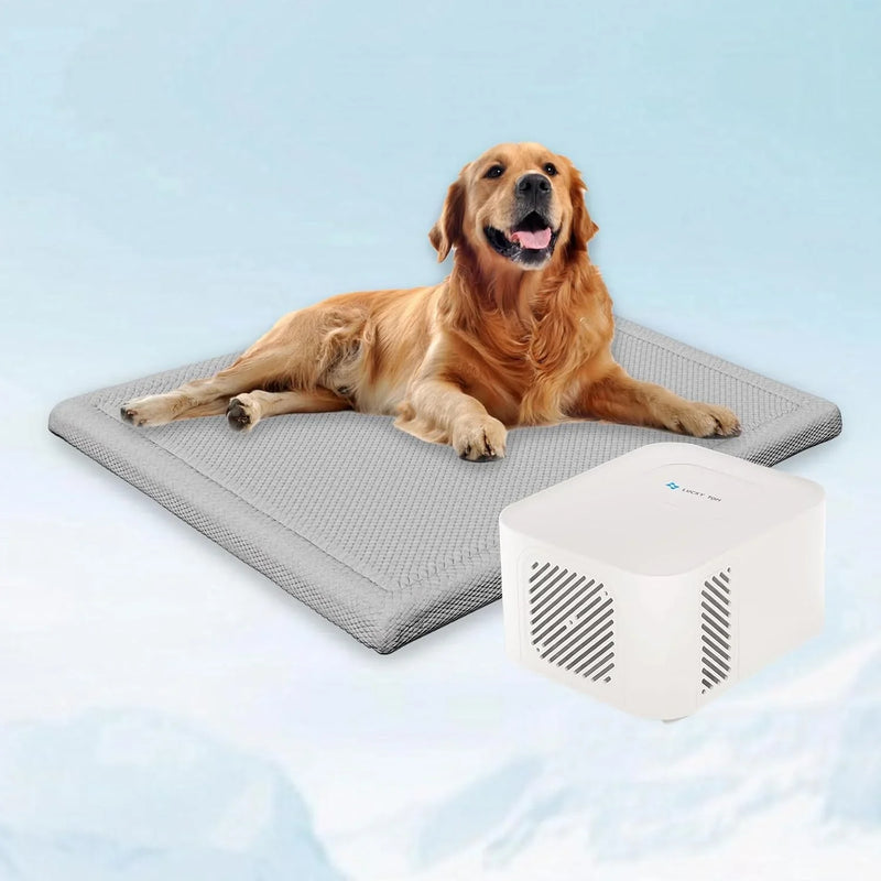 Pet Bed Cooling System, Consistent Warm and Cold Water Pad, No Electric Shock or Chemical Gel Needed, Machine Washable Bed, Ideal for Home and Crates (Cooling & Heating Green, 41" x 28") M5