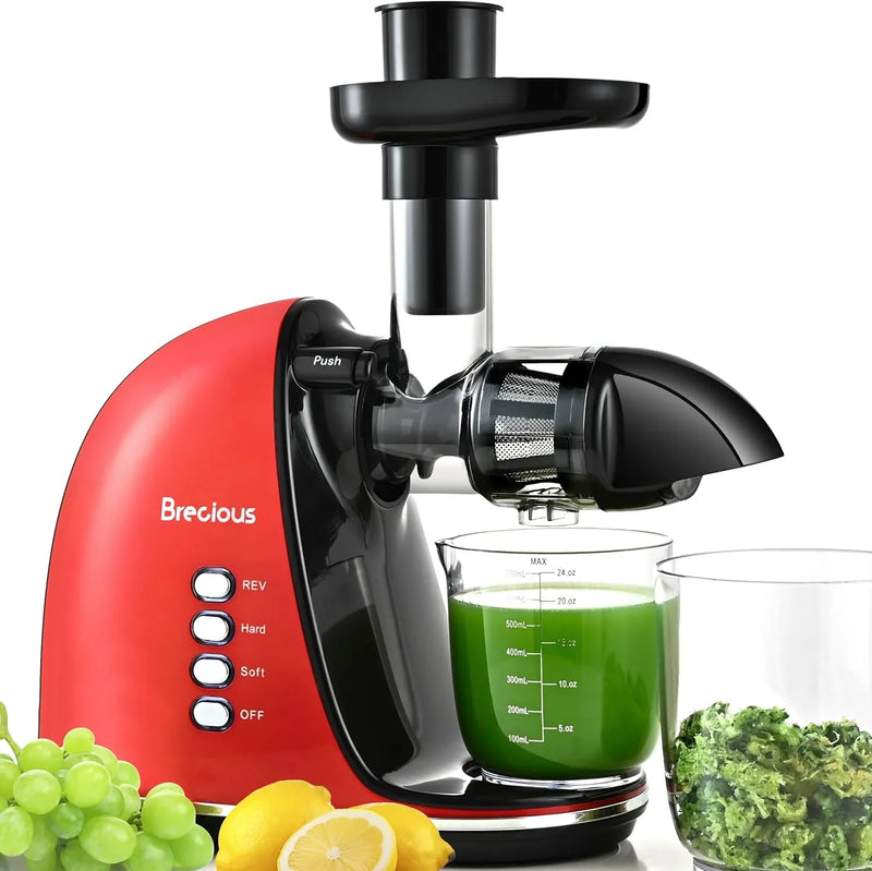 Slow Masticating Juicer,Brecious Cold Press Juicers with 2 Speed Modes & Quiet Motor,Juicers Machines Vegetable and Fruit with Reverse Function,Celery Juicer,BPA-Free,Easy to Clean (Black) R0