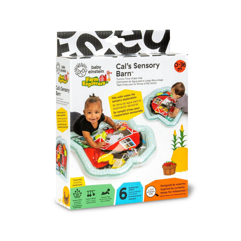 Baby Einstein Cal's Sensory Barn Tummy Time Water Mat K7