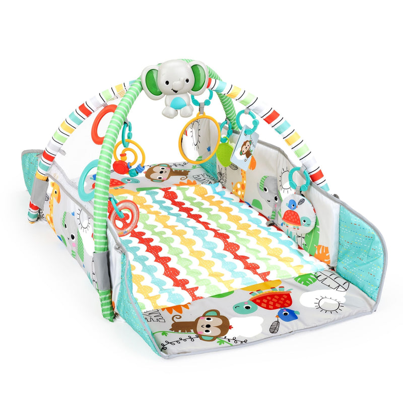 Bright Starts 5-in-1 Your Way Ball Play Gym Z4