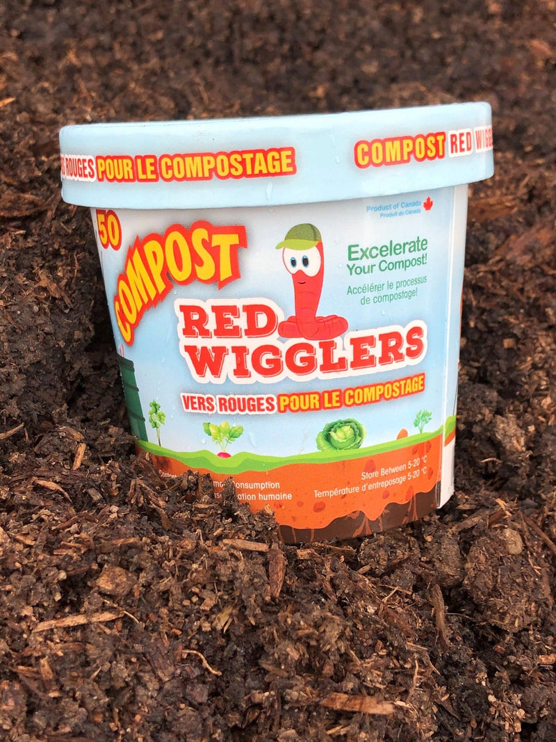 Compost Red Wiggler Live Composting Worms, 50 Count Y8