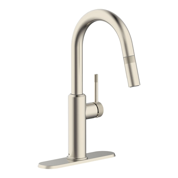 Danze Colby 1-Handle Pull-Down Kitchen Faucet with Knurled Accents, Stainless Steel H1