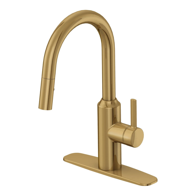 Danze Colby Single-Handle Pull-Down Kitchen Faucet, Brushed Bronze E6