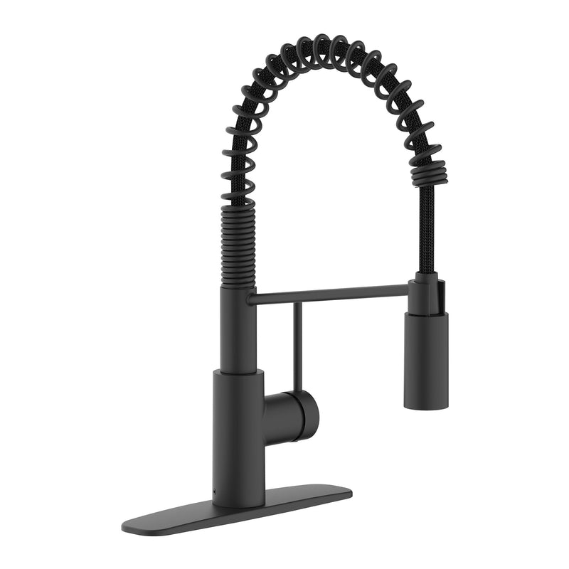 Danze Imi 1-Handle Pull-Down Commercial Style Kitchen Faucet T4