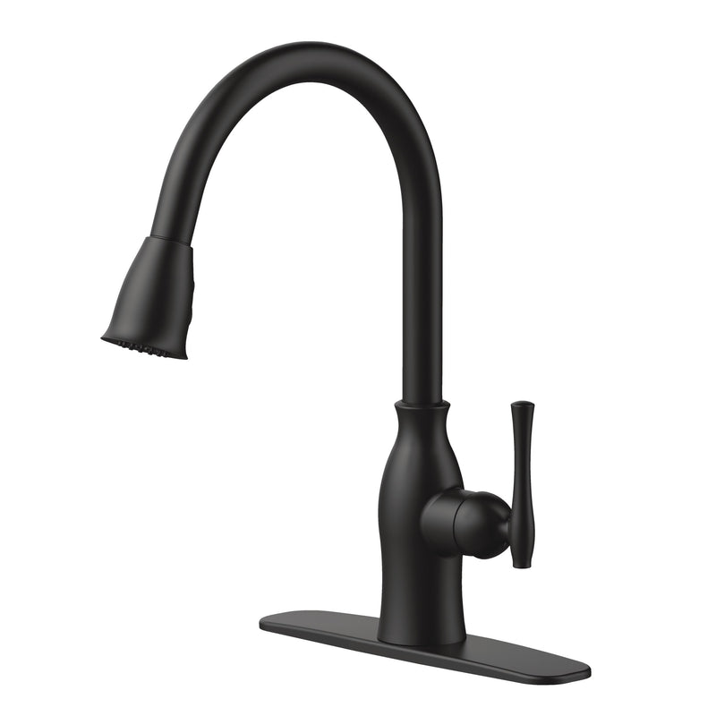 Danze Lisa 1-Handle Pull-Down Kitchen Faucet, Matte Black W1