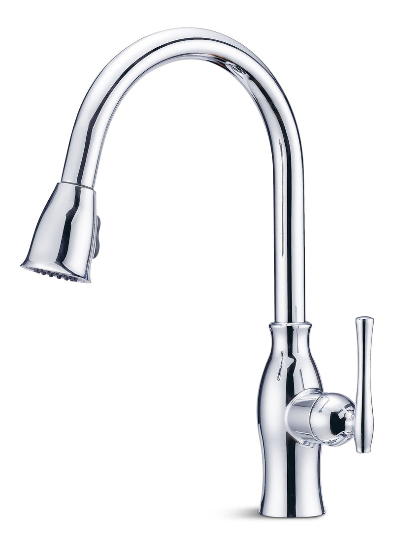 Danze Lisa Single-Handle Pull-Down Kitchen Faucet, Chrome D1