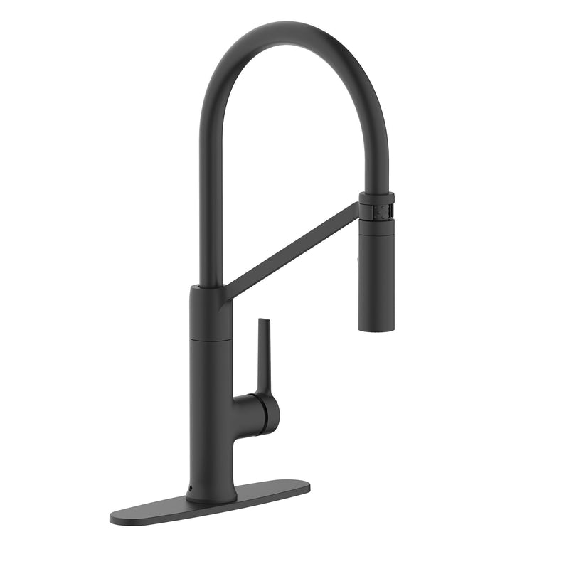 Danze Tana 1-Handle Pull-Down Kitchen Faucet V5