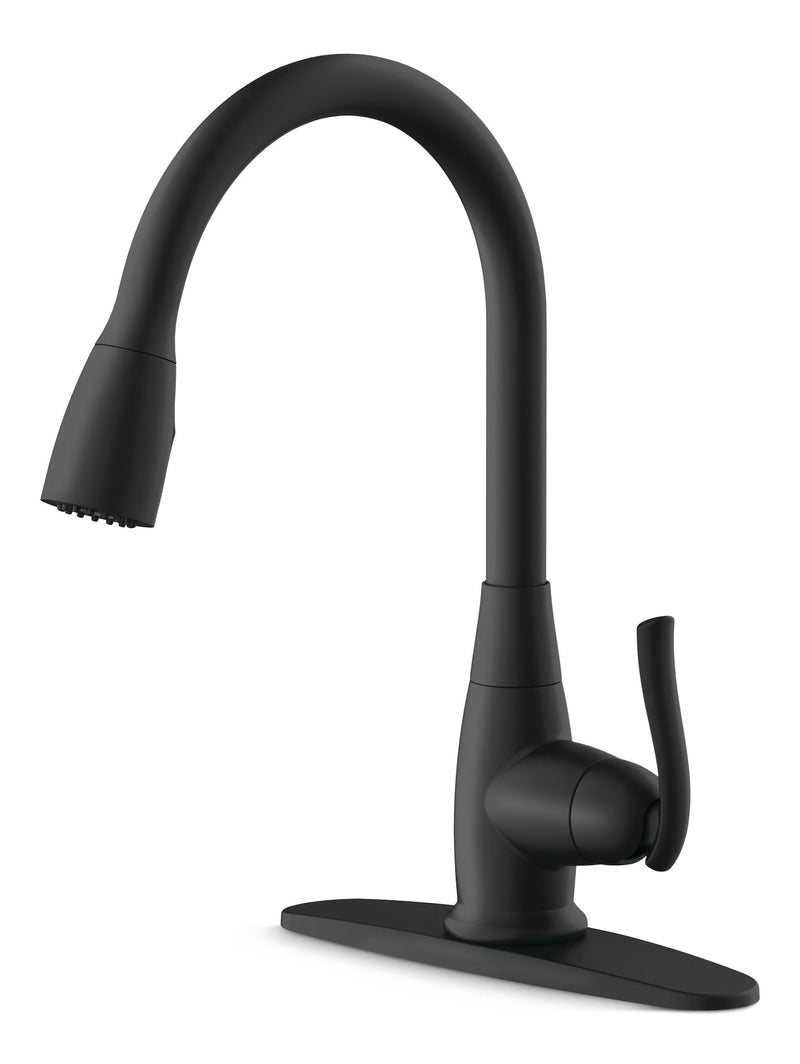 Danze Terrazo 1-Handle Pull Down Kitchen Faucet, Matte Black H7