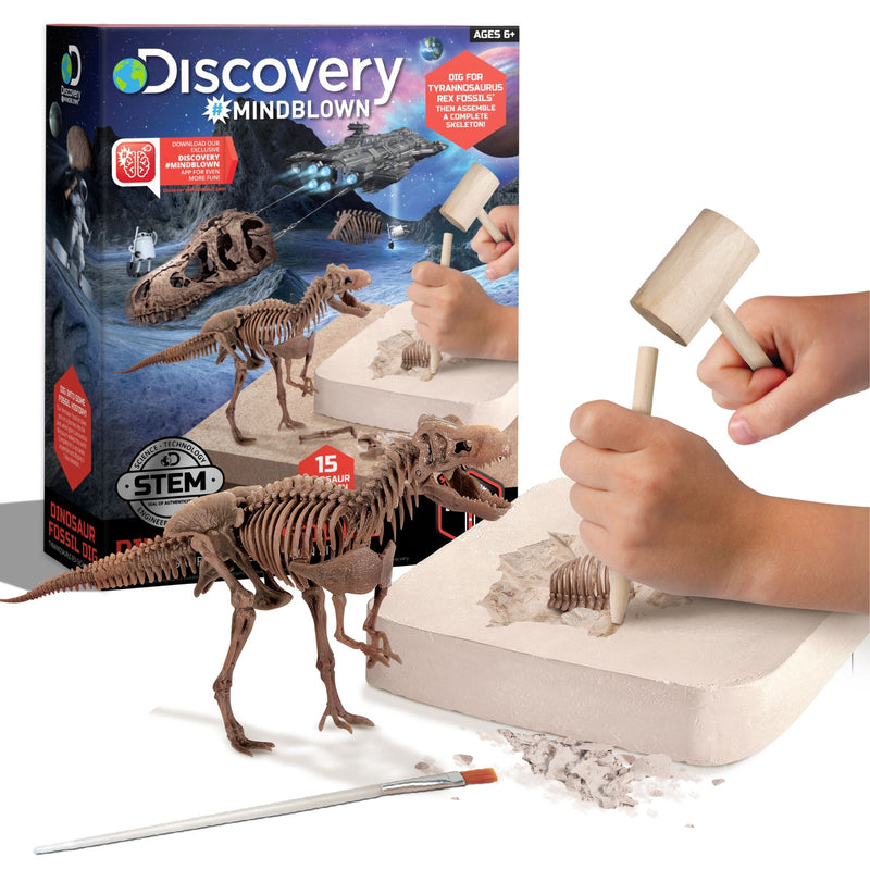 Discovery Dinosaur Skeleton T-Rex 3D Puzzle Excavation Kit/Educational Toy for Ages 6+ B7