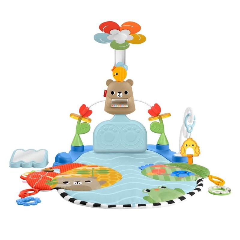 Fisher Price Kick & Sway Baby Activity Gym K9