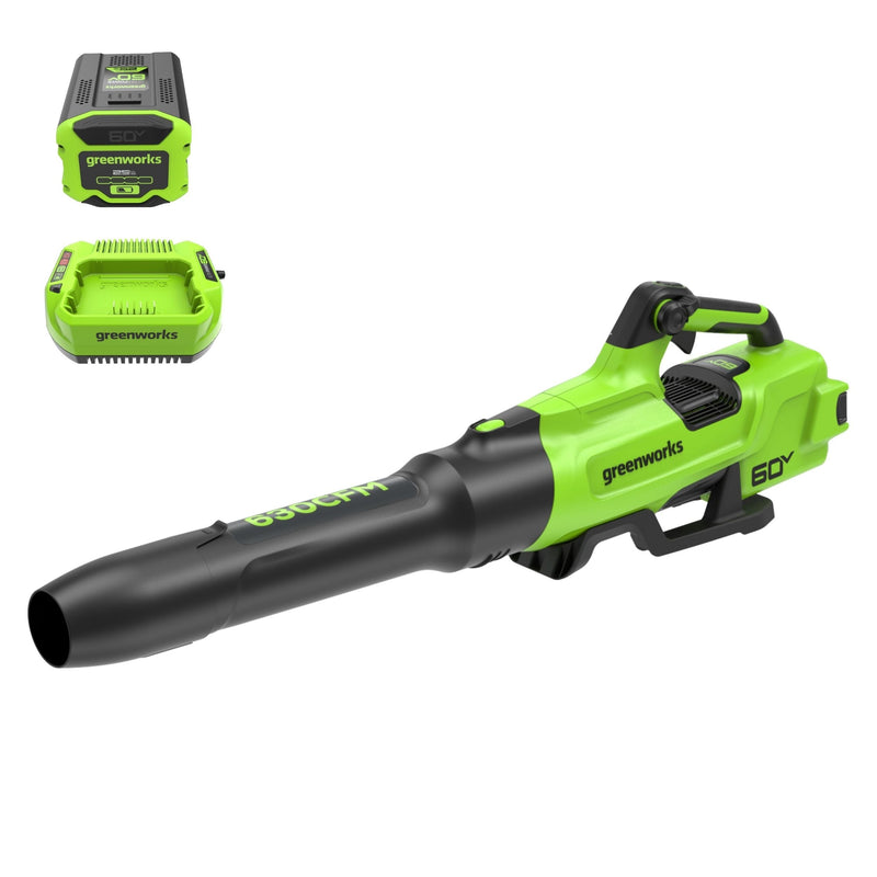 Greenworks 60V 630CFM 170MPH Leaf Blower 2.5Ah Battery 3A Charger T9