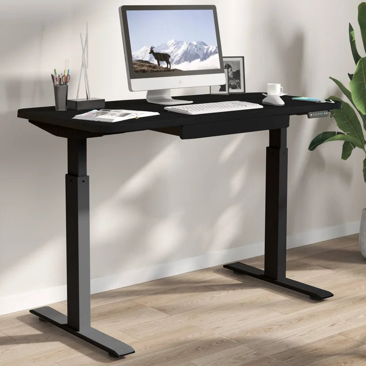 Motionwise 121.9 cm x 61 cm (48 in. x 24 in.) Height Adjustable Desk D6
