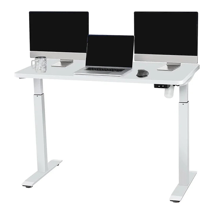 Motionwise 121.9 cm x 61 cm (48 in. x 24 in.) Single Motor Height Adjustable Desk Z4