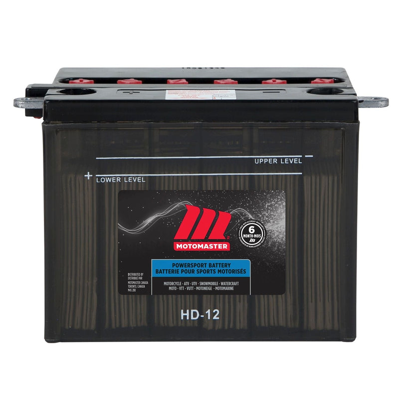 MOTOMASTER Group Size 41 Battery, 650 CCA M0
