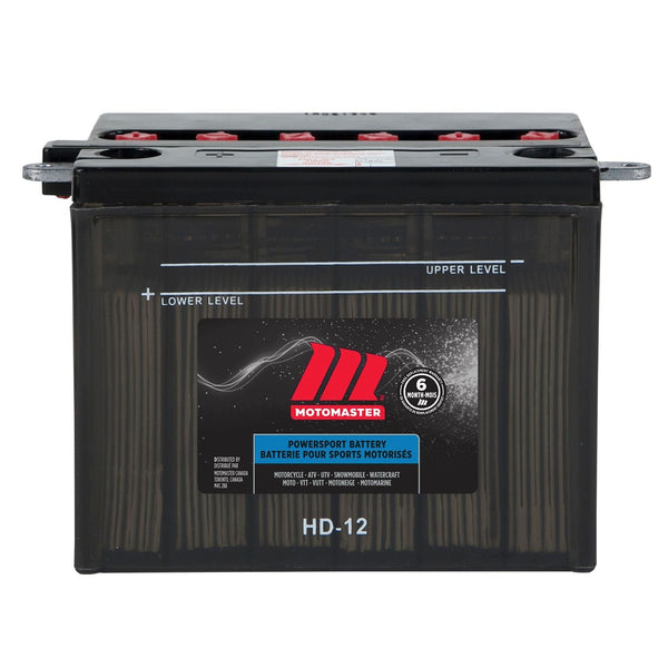 MOTOMASTER Group Size 46A24L Battery, 320 CCA A9