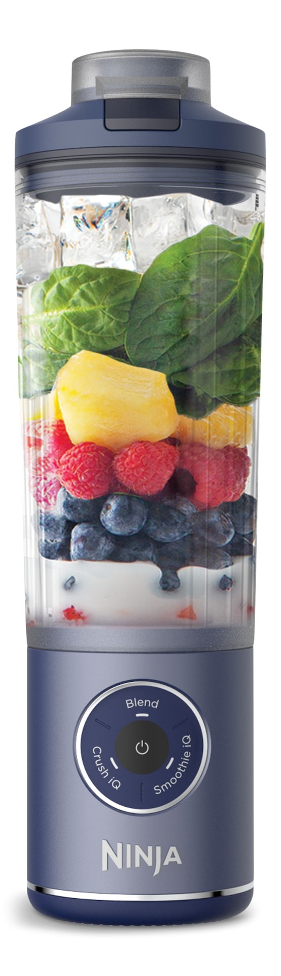 Ninja Blast 2.0 Portable Cordless Personal Blender with, Black, 18-oz G9