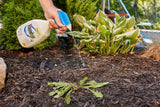 RoundUp Ready-to-Use Herbicide Grass & Weed Control/Killer with Fast Fact Foam, 1-L