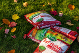 Scotts Turf Builder Fall Lawn Fertilizer, 5.25-kg