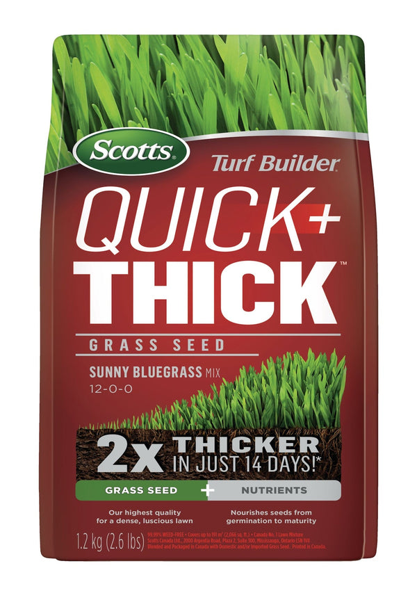 Scotts Turf Builder Quick + Thick Grass Seed Sunny Bluegrass Mix, 12-0-0, 1.2-kg V2