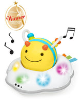 Skip Hop Follow-Bee Crawl Toy