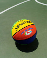 Spalding Rookie Gear Youth Kids' Indoor/Outdoor Multi-Colour Composite Basketball, Size 5 (27.5-in)