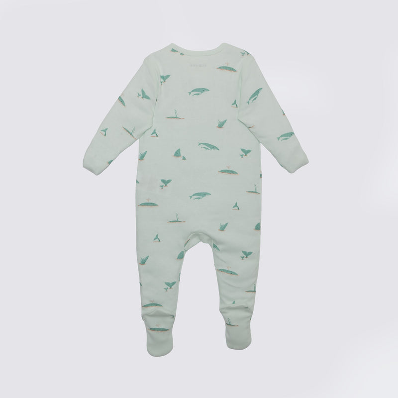The Elk Baby Whale Print Premium Organic Cotton Play and Grow Zippy, Various Sizes I8