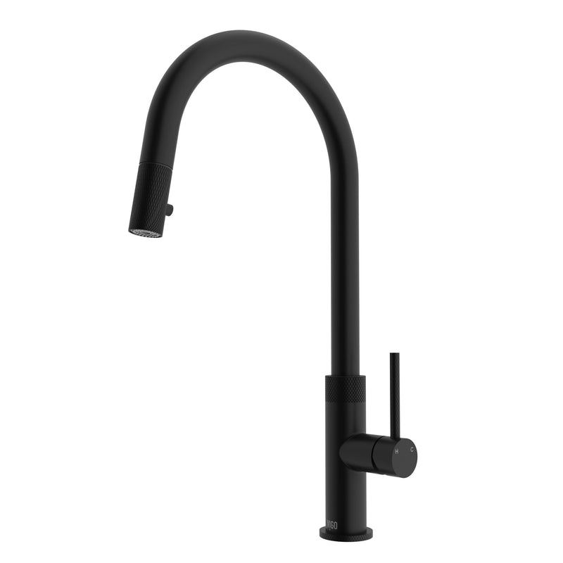 VIGO Bristol Kitchen Faucet N3