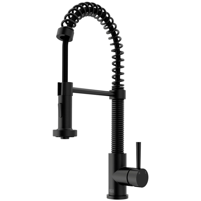 VIGO Edison Pull-Down Spray Kitchen Faucet, Matte Black I1