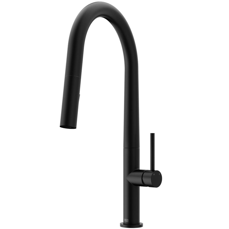 VIGO Greenwich Kitchen Faucet, Matte Black O6