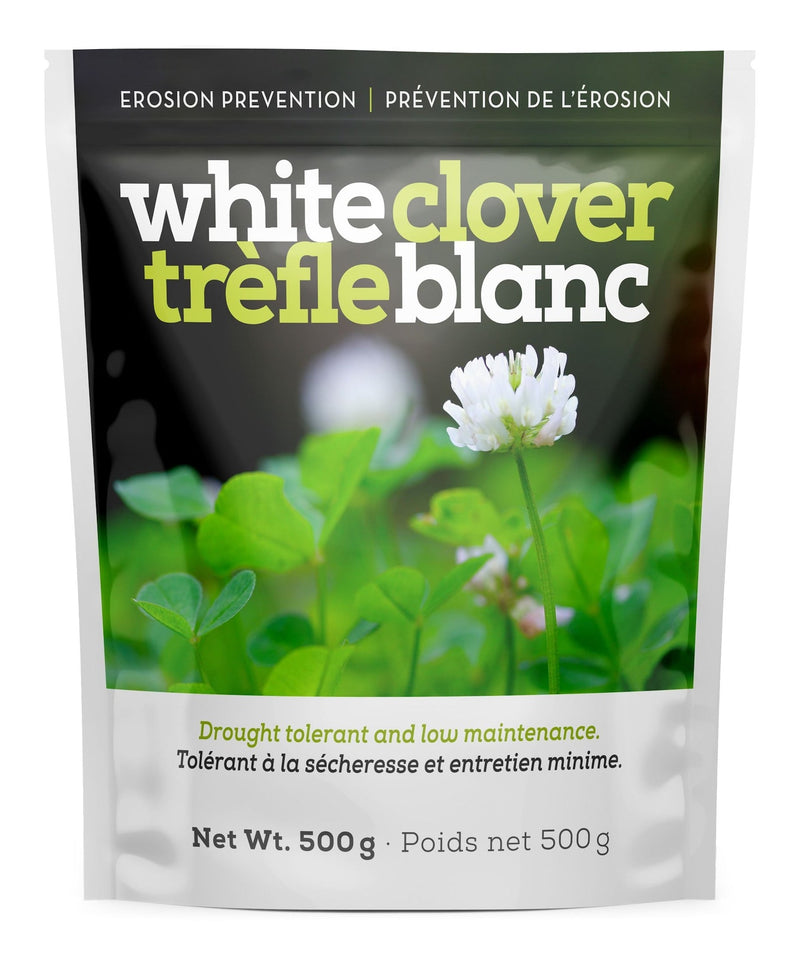 White Clover Erosion Control Grass Seed 500g Z9